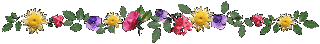 Blog_Si